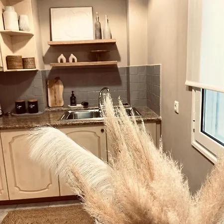 شقة Kipos-ss Residences ذيسْخا